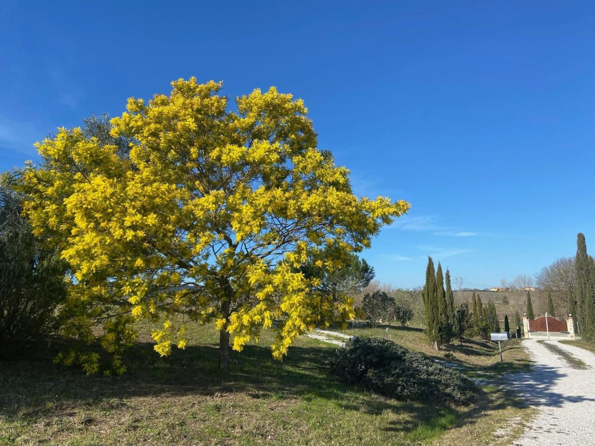 Bed&Breakfast Casale del Sole Castellina Marittima Esterno foto